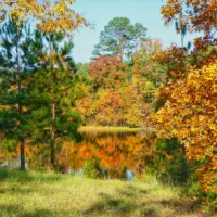 autumn_reflections_bartram
