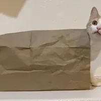 jerry_paper_bag