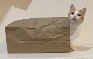 jerry_paper_bag