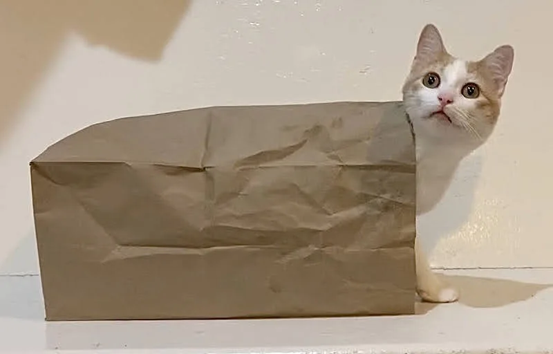 Jerry Paper Bag