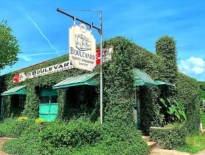 kudzu_boulevard
