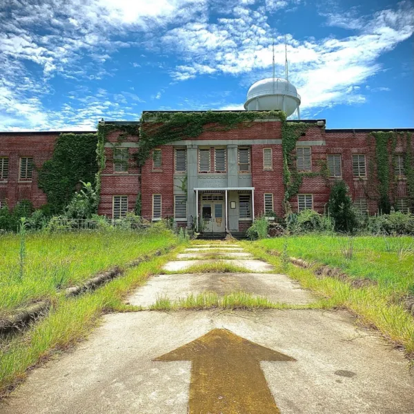 Lunatic Asylum Arrow