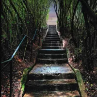 stone_staircase_in_vines