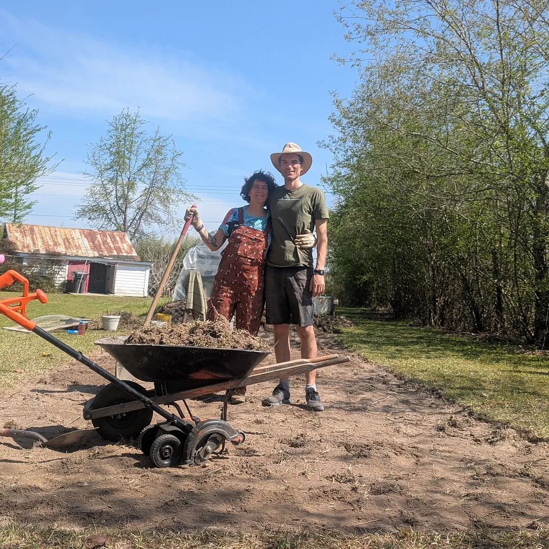 Plot cleared!